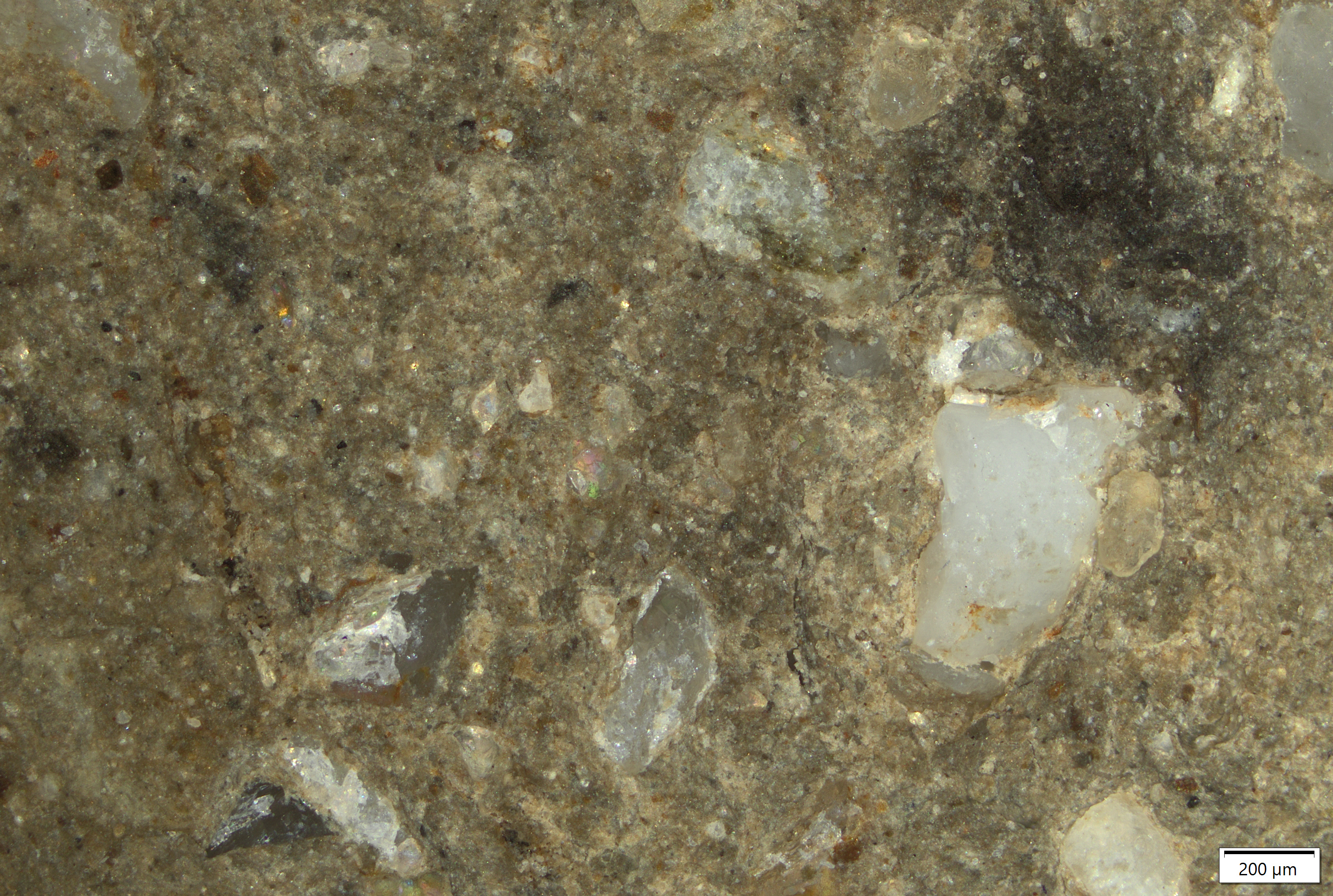 TK084 polished section 01 POL.tif