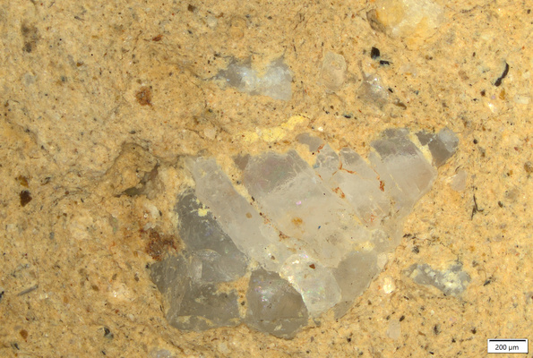 0 yellow and red pigment traces on inclusion.tif