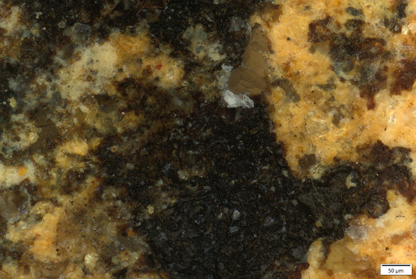 01 black manganese pigment detail 200x with border.tif