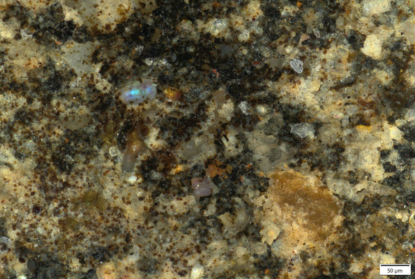 01 black pigment motif detail 200x.tif