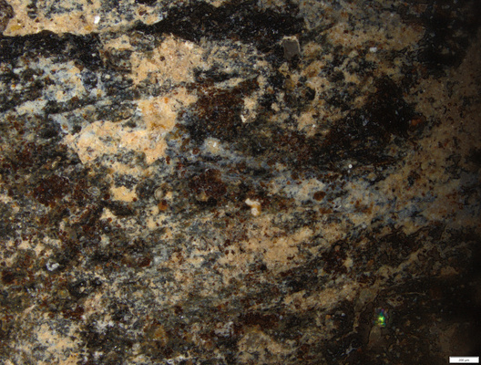 01 possible pigment back area.tif