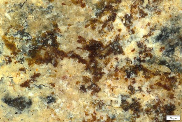 01 possible red pigment traces.tif