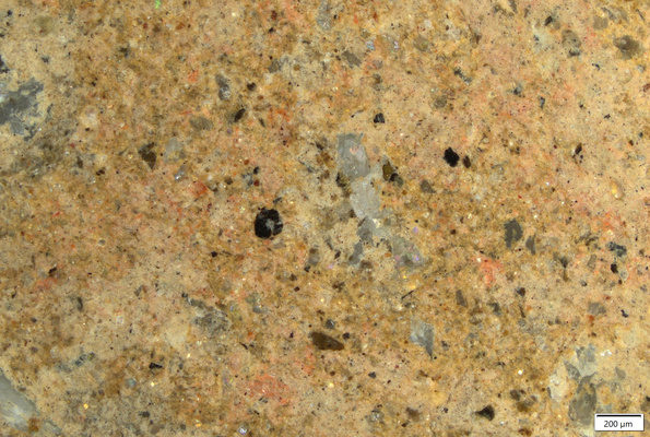 01 red pigment residues on the buttock.tif