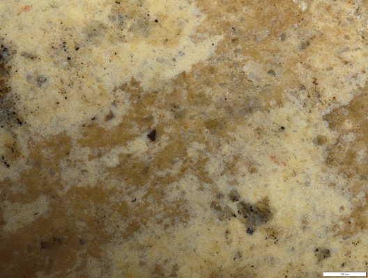 01 yellow coating detail.tif