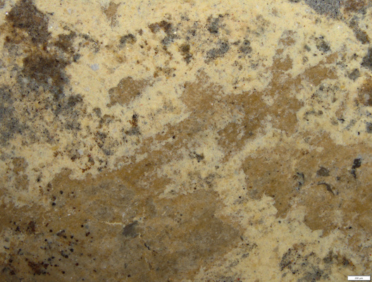 01 yellow coating.tif