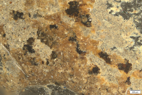 02 orange with manganese oxide spots back.tif