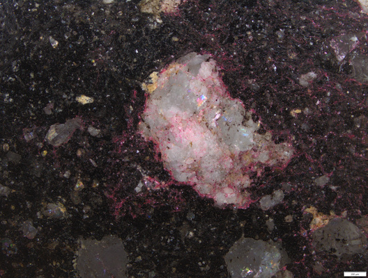 02 pink traces.tif
