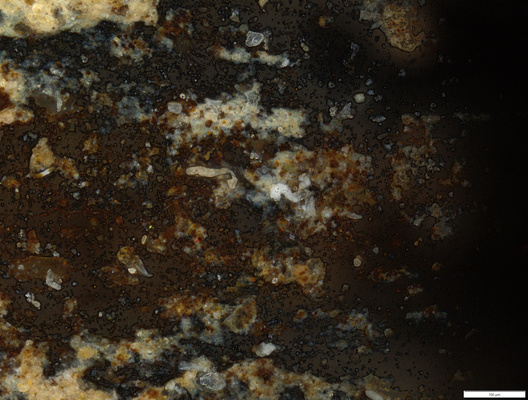 02 possible pigment back area.tif