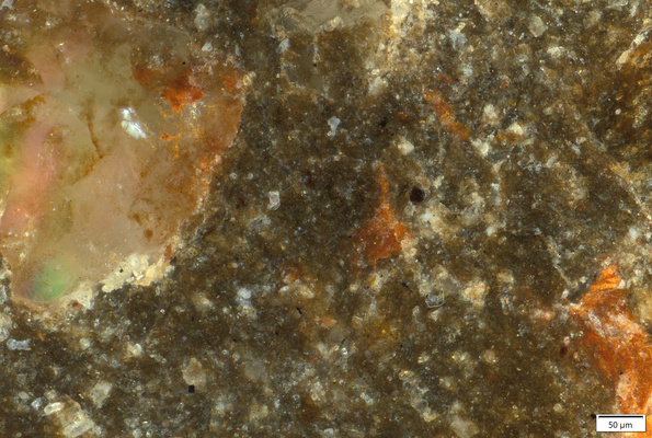 02 red inclusions and red pigment on inclusion lap.tif