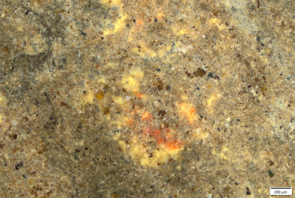 02 red over yellow on upper shin.tif