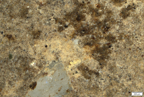 02 uncertain brown over yellow coating.tif