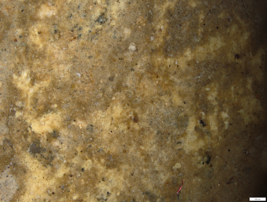 02 yellow coating under sinter on shin.tif