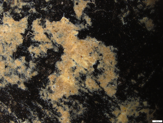 02 yellow pigment spot residue on back near lower fracture.tif
