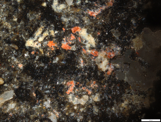 03 red pigment on front L shoulder.tif