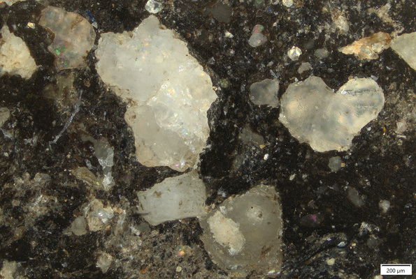 TK002B polished section 01 POL.tif
