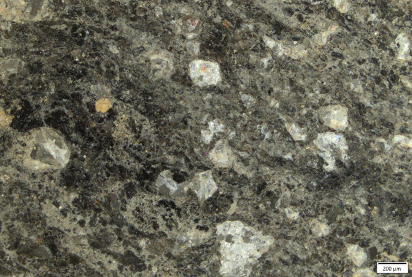 TK005B polished section 01 POL.tif
