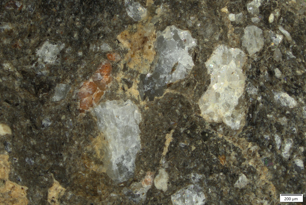 TK008A polished section 02 POL.tif