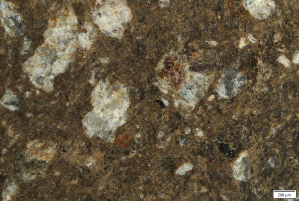 TK009 polished section 02 POL.tif