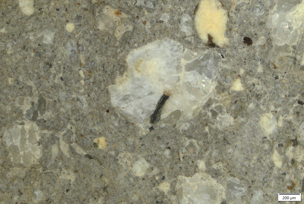 TK012 polished section 01 POL.tif