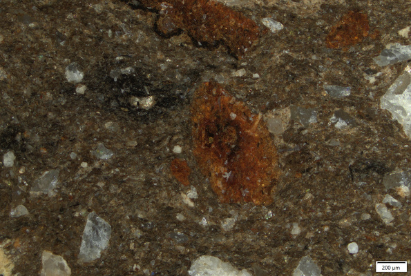 TK020 polished section 01 POL.tif