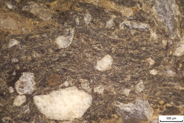 TK023 polished section 01 POL.tif