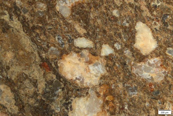 TK024 polished section 02 POL.tif