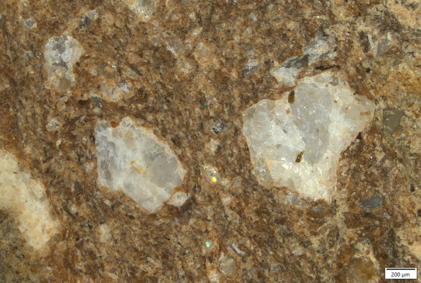 TK026 polished section 01 POL.tif