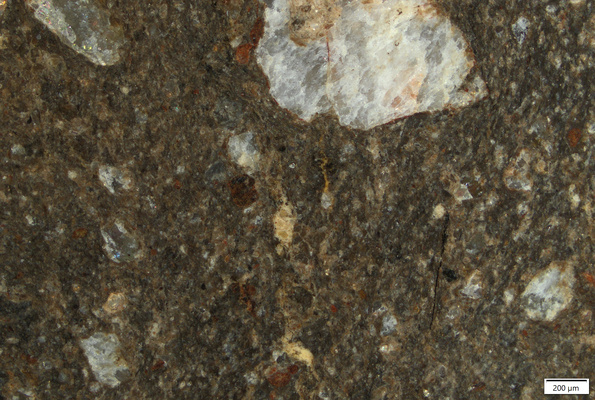 TK028 polished section01 POL.tif