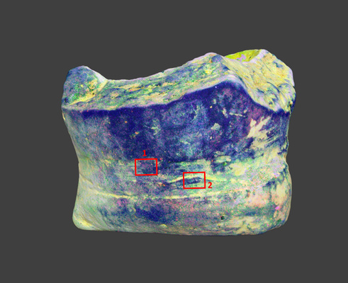 TK029.png