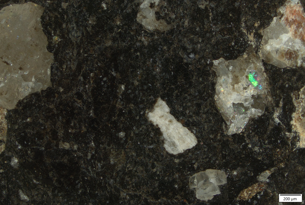 TK075A polished section 01 POL.tif