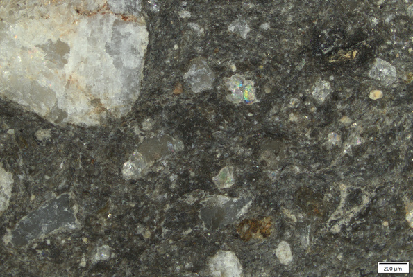 TK076 polished section 01 POL.tif