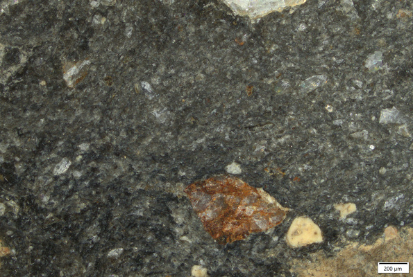 TK076 polished section 02 POL.tif