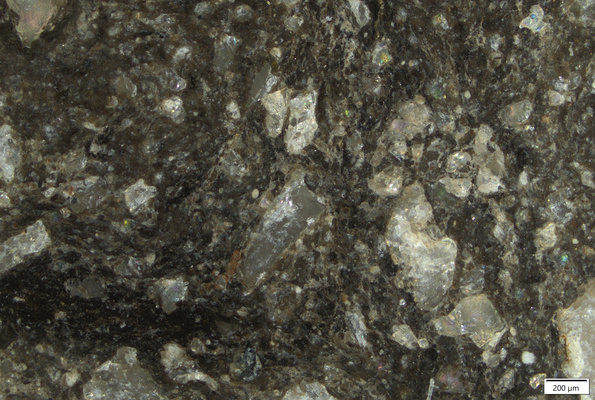 TK086 polished section 01 POL.tif