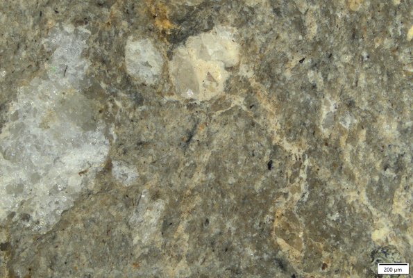 TK089 polished section 01 POL.tif