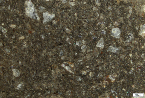 TK090 polished section 01 POL.tif