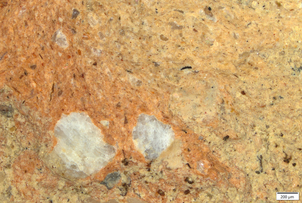 TK091 polished section 01 POL.tif