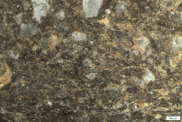 TK094 polished section 01 POL.tif