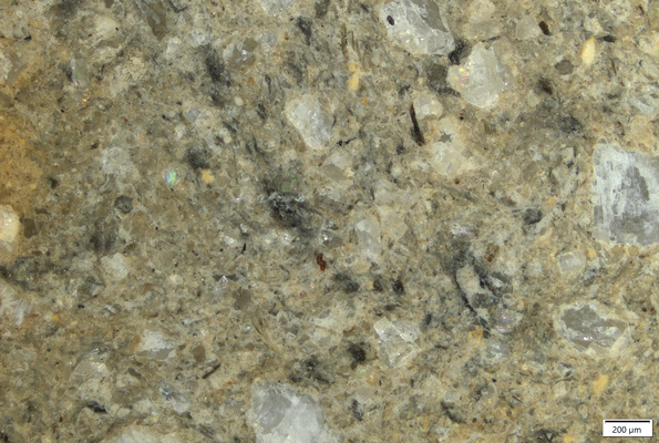 TK101 polished section 01 POL.tif
