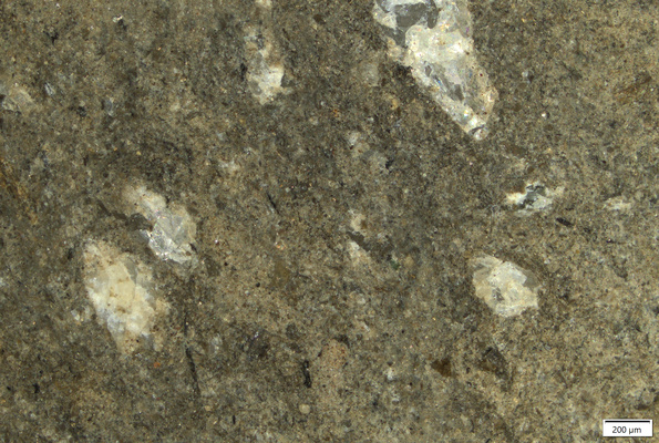 TK102 polished section 01 POL.tif