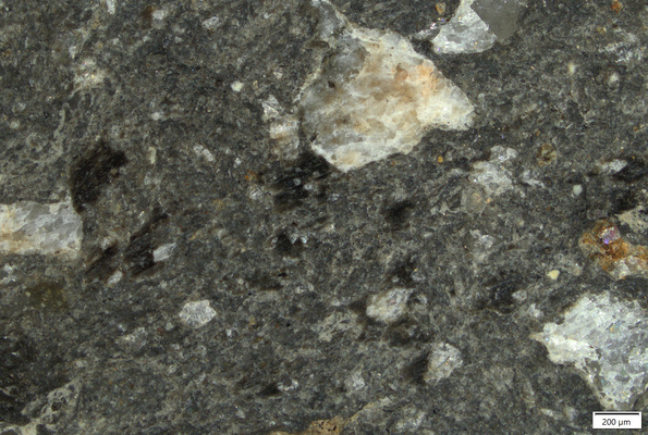 TK113 polished section 01 POL.tif
