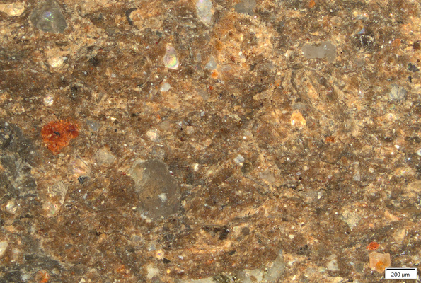 TK147 polished section 01 POL.tif