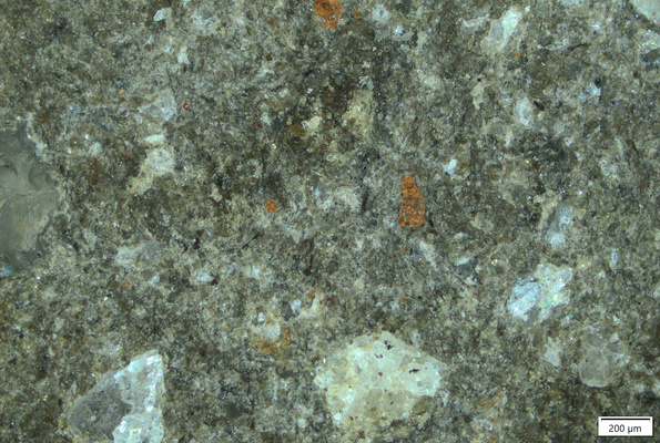 TK236 polished section 01 POL.tif