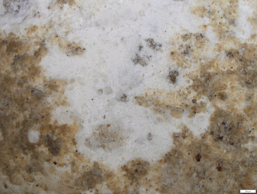 white contaminant.tif