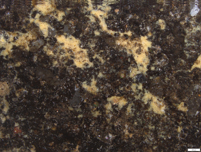 01 yellow pigment lower end.tif
