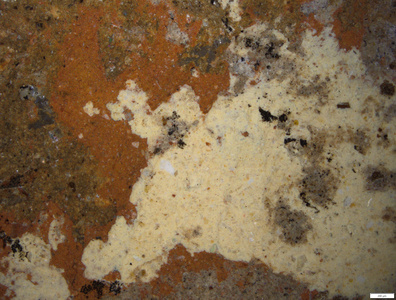 01 yellow pigment over the red pigment.tif