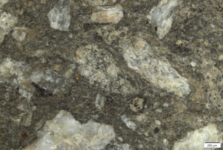 TK098 polished section 01 POL.tif