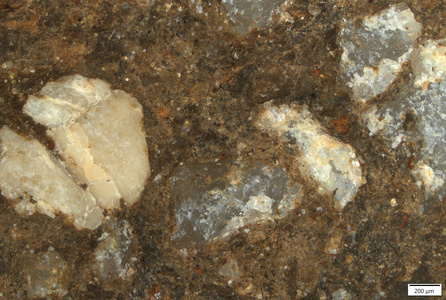 TK164 polished section 01 POL.tif