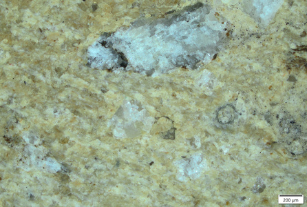 TK232 polished section 01 POL.tif